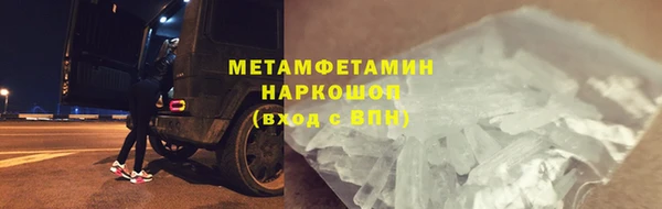 прущие грибы Белокуриха