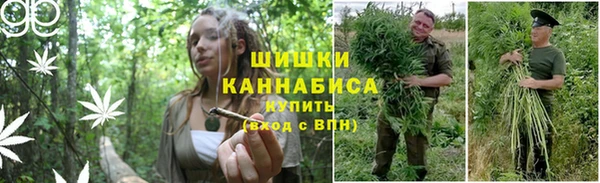 дмт Балахна